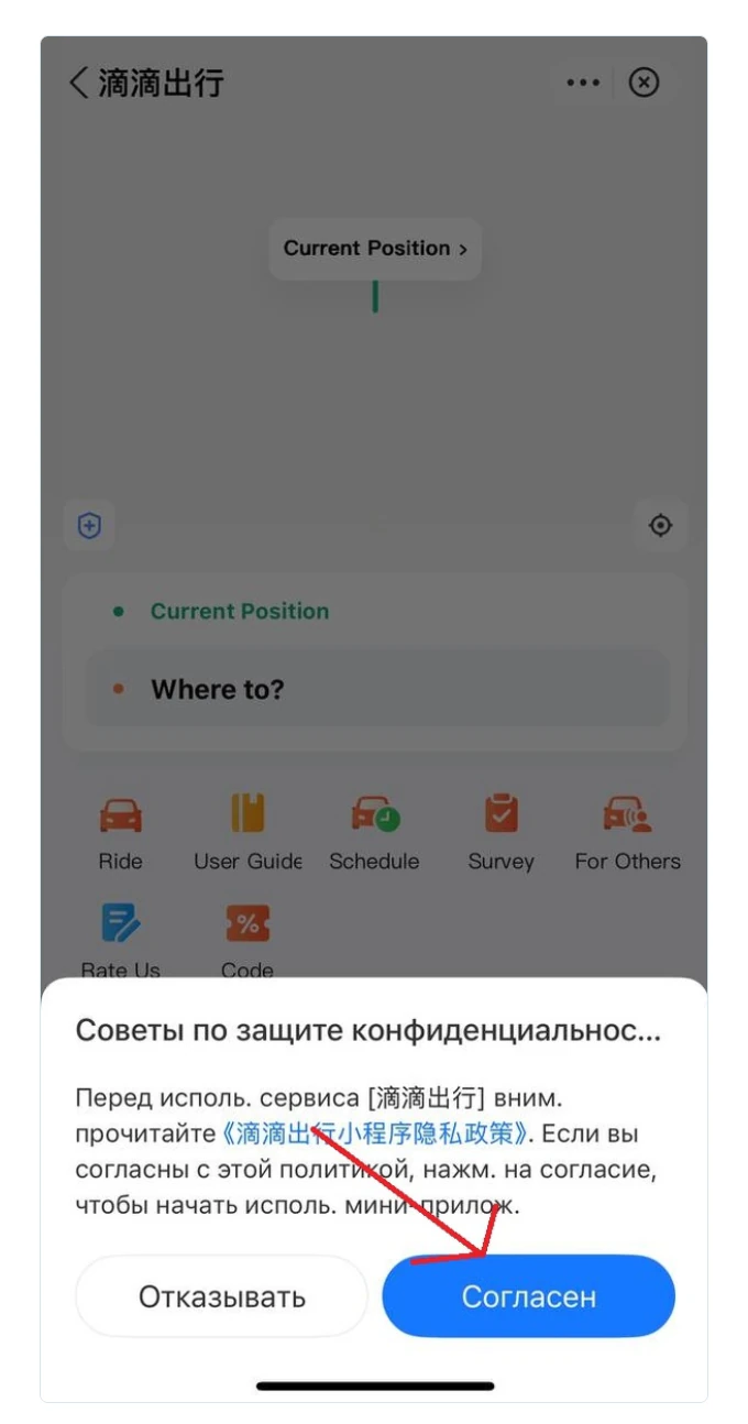 Первый запуск DiDi и кнопка согласия с условиями