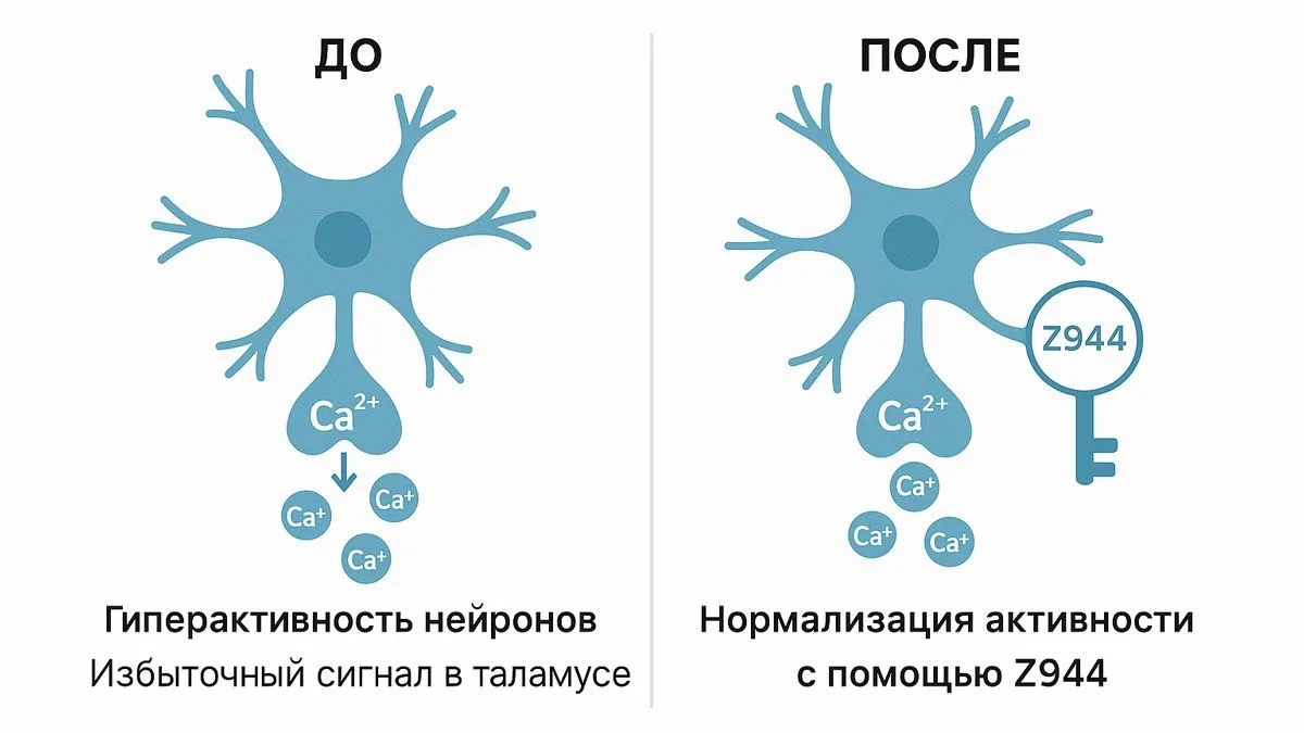 Новый препарат Z944: Появилась ли реальная надежда на излечение аутизма?