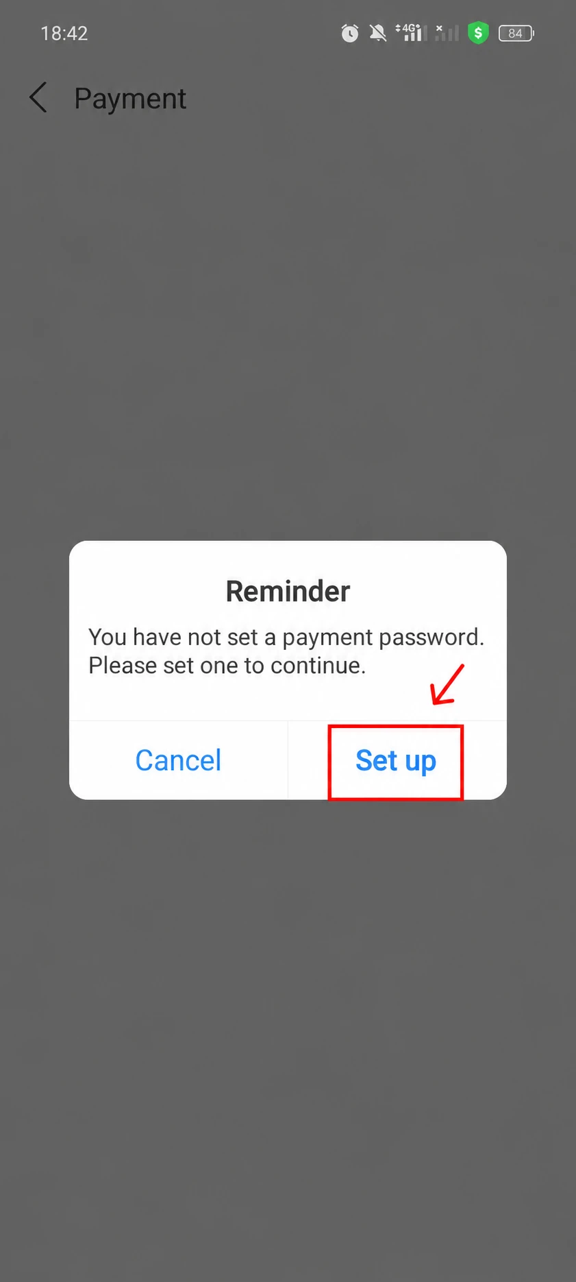 The prompt to set a payment password