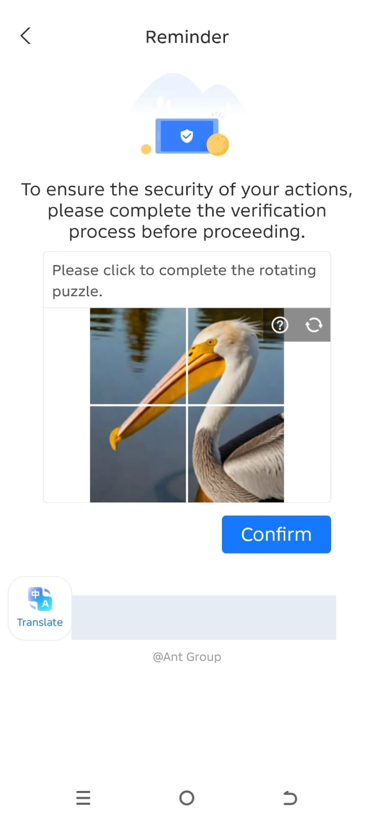 The security check before SMS confirmation
